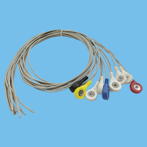 Customization - electrode buckle connection wire